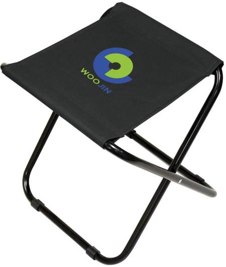 Sportex Companion Chair